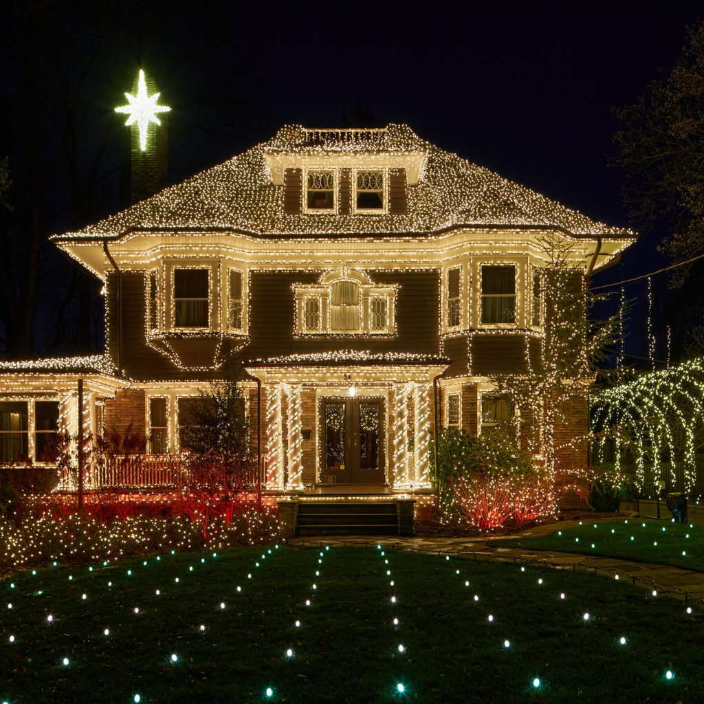 Christmas tree and Light